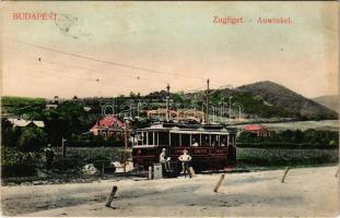 1910 Budapest XII. Zugliget, BKVT 72-es sorszámú villamoskocsija, villa. Schwarz J. kiadása (fl)