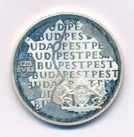 1998. 750Ft Ag "Budapest 125 éves" kapszulában T:UNC (eredetileg PP) patina
Adamo EM149