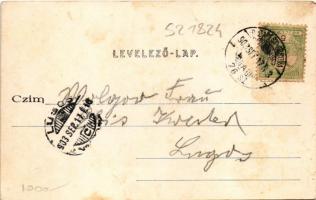 1903 Budapest XIII. Vígszínház. Divald Károly 409. sz. Art Nouveau + "BUDAPEST - ORSOVA 76. SZ....