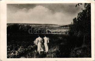 Sopron, Virágvölgyi részlet. Diebold Foto (EK)