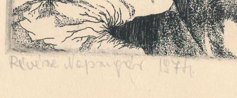 Révész Napsugár (1944-): Kerítés. Rézkarc, papír, jelzett, 19,5x29 cm