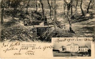 1915 Kisbáb, Kis-Baáb, Maly Báb (Báb); Partie aus dem Wald, Kastell / Részlet az erdőből, Kastély. Kanitz C. és Fiai / forest, castle (EM)