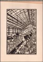 Bodri Ferenc (1943-2021): Üvegházban. Linómetszet, papír, jelzett, 30x20 cm