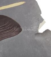 1971 Ukiyo-e, japán fametszetek római kiállításának plakátja, ofszet, papír, feltekerve, hajtásnyomo...