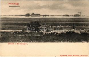 Hortobágy, Délibáb a Hortobágyon, magyar folklór. Eperjesy István kiadása (EK)