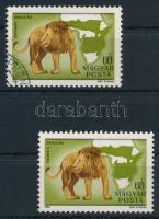 1981 Kittenberger Kálmán 60f "PCSTA" tévnyomattal + támpéldány