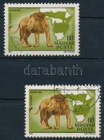 1981 Kittenberger Kálmán 60f "PCSTA" tévnyomattal + támpéldány