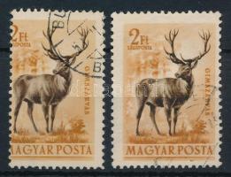 1953 Erdei állatok 2Ft képbe fogazva + támpéldány
