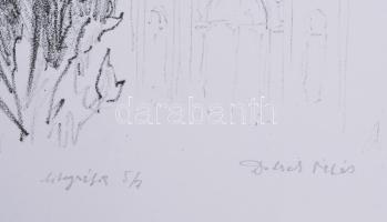 Dobesch Máté (1978-): Árgyélus és Tündérszép Ilona. Litográfia, papír, jelzett, 5/7 számozással. 40x...