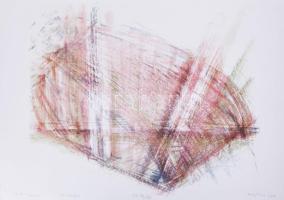 Tolnay Imre (1968-): Döntés-levonat, 2000. Litográfia, papír, jelzett, művészpéldány EA VII/XVII számozással. 48x60 cm