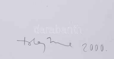 Tolnay Imre (1968-): Döntés-levonat, 2000. Litográfia, papír, jelzett, művészpéldány EA VII/XVII szá...