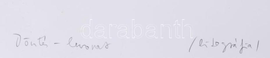 Tolnay Imre (1968-): Döntés-levonat, 2000. Litográfia, papír, jelzett, művészpéldány EA VII/XVII szá...