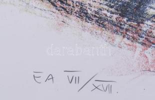 Tolnay Imre (1968-): Döntés-levonat, 2000. Litográfia, papír, jelzett, művészpéldány EA VII/XVII szá...