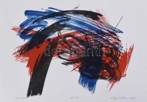 Kiss Zoltán (1965-): Tércsomók III., 2001. Litográfia, papír, jelzett, számozott: 7/13, 31x41 cm