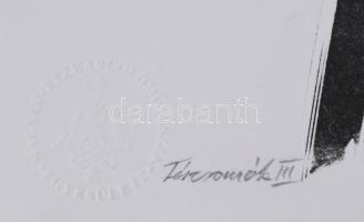 Kiss Zoltán (1965-): Tércsomók III., 2001. Litográfia, papír, jelzett, számozott: 7/13, 31x41 cm