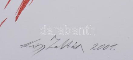 Kiss Zoltán (1965-): Tércsomók III., 2001. Litográfia, papír, jelzett, számozott: 7/13, 31x41 cm