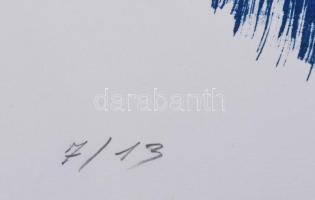 Kiss Zoltán (1965-): Tércsomók III., 2001. Litográfia, papír, jelzett, számozott: 7/13, 31x41 cm