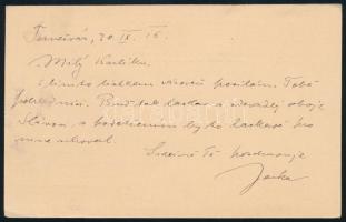 1916 Hadisegély feláras díjjegyes levelezőlap "TEMESVÁR" - Böhmen (Hodobay 58)