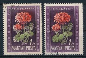 1950 Virág (I.) 1Ft eltolódott piros és zöld színnyomattal + támpéldány