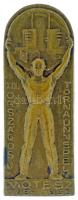 1935. "MOTESZ (Magyarországi Testedző Egyesületek Szövetsége) 1885-1935 - XIII. Országos Tornaünnepély" bronz jelvény "Berán N. BPest Döbrentei u. 2" gyártói jelzéssel T:UNC