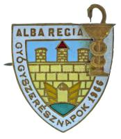 1966. "Alba Regia Gyógyszerész Napok 1966" zománcozott Cu jelvény (21x22mm) T:2