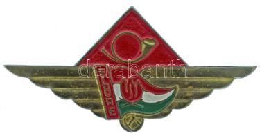 1970 k. "Úttörő Postás" festett bronz jelvény (29x58mm) T:XF