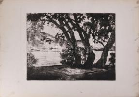 Váli Zoltán (1910-1994): Dunapart Visegrádnál. Rézkarc, papír, jelzett. Lapszéli apró elszíneződéssel. 29x39 cm