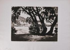 Váli Zoltán (1910-1994): Dunapart Visegrádnál. Rézkarc, papír, jelzett. Hátoldalán "Próbanyomat IV" bélyegzéssel és 1990 előtti MNG kiviteli bélyegzéssel. Lapszéli apró elszíneződéssel. 29x39 cm