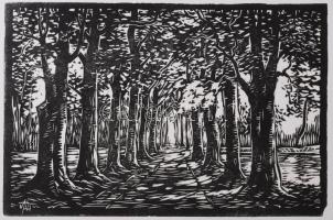 Váli Zoltán (1910-1994): Árnyas út. Linómetszet, papír, jelzett a metszeten. 14x21 cm