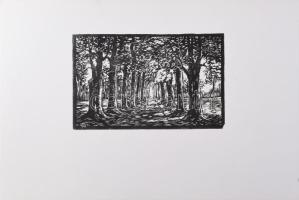 Váli Zoltán (1910-1994): Árnyas út. Linómetszet, papír, jelzett a metszeten. 14x21 cm