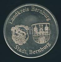 Bernburg város emlékérem T:PP 12g