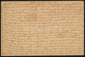 1907 Levelezőlap "SZÉKESFEHÉRVÁR-CZELLDÖMÖLK / 82" mozgóposta bélyegzéssel