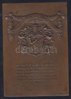1933 NYTVE Nyíregyháza Repülőnap szögletes bronz plakett sign: Berán N. T:1/2 7x10 cm