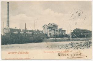 1902 Lupény, Lupeni; Kox kemencék, kokszgyár, mosómű és osztályozómű. Joánovits és Sternád kiadása / coke works, factory, classification plant (fl)