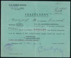 1917 Bp., M. Kir. Honvédelmi Minisztérium által kiállított igazolvány katonai szolgálat alóli felmentésről