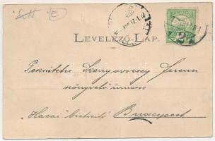 1908 Szatmárnémeti, Szatmár, Satu Mare; M. kir. állami elemi iskola, fiú kerékpárral. Reizer János k...