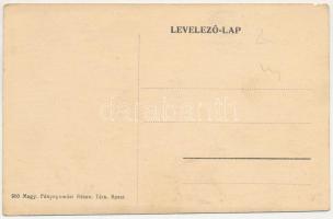 Marosvécs, Vécs, Wetsch, Brancovenesti; Kemény kastély / castle (szakadás / tear)