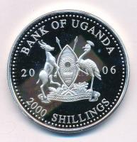 Uganda 2006. 2000Sh Ag "A labdarúgás halhatatlanjainak csarnoka - Brazília 2000-es évek / Roberto Carlos" bizonytalan ezüsttartalmú! T:PP fo. Uganda 2006. 2000 Shillings Ag "The Hall of Fame of Football - Brazil 2000s / Roberto Carlos" uncertain silver content! C:PP spotted