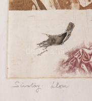 Badacsonyi Sándor (1949-2016): Sivatagi álom. Színes rézkarc, papír, jelzett, hátoldalán Koller Galé...