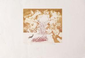 Badacsonyi Sándor (1949-2016): Sivatagi álom. Színes rézkarc, papír, jelzett, hátoldalán Koller Galé...