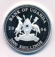 Uganda 2006. 2000Sh Ag "A labdarúgás halhatatlanjainak csarnoka - Franciaország 1980-as évek / Michel Platini" kapszulában, bizonytalan ezüsttartalmú! T:PP Uganda 2006. 2000 Shillings Ag "The Hall of Fame of Football - France 1980's / Michel Platini" in capsule, uncertain silver content! C:PP