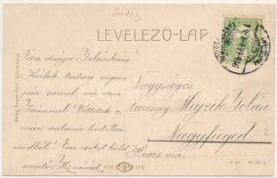 1915 Boksánbánya, Románbogsán, Németbogsán, Deutsch-Bogsan, Bocsa Montana; utca, Kir. Járásbíróság. ...