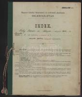 1900-1904 Selmecbánya, M. Kir. Bányászati és Erdészeti Akadémia indexe, Örley István (1882-?) belényesi születésű erdész-hallgató részére, az iskola tanárainak aláírásaival, okmánybélyegekkel, 5 db magánvizsgálati bizonyítvánnyal, kis sérülésekkel, hajtásnyommal, 8 sztl. lev. + 5 sztl. lev.