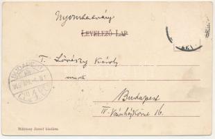 1906 Vaskoh, Vaskóh, Coh, Vascau; régi vasgyár és látkép. Miklóssy József kiadása / general view wit...