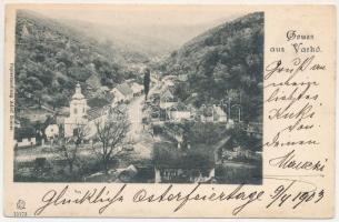 1903 Vaskoh, Vaskóh, Coh, Vascau; látkép. Adolf Rosner kiadása / general view (r)