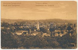 Teregova, Terregova; látkép. Bonna Sándor kiadása / general view (kopott sarkak / worn corners)
