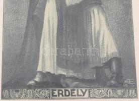 1920 Erhardt Ernő (1898-1958) Erdély. Litográfia, üvegezett keretben. Tolnay könyvkiadó. Jelzett. 15...