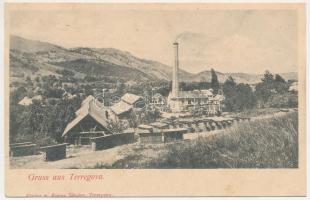 Teregova, Terregova; gyár. Bonna Sándor kiadása / factory (fl)