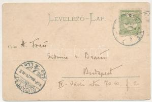 1907 Örményes, Arminis, Armenis; Temesvár-Orsovai vasút vashídja, Örményes-Teregova. Hutterer G. kia...