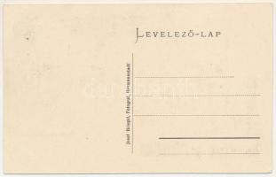 Kisdisznód, Michelsberg, Cisnadioara; erdélyi szász népviselet. Josef Briegel fényképész / Transylva...